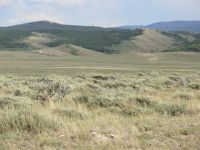 Leaving the Medicine Bow Forest